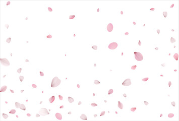 Sakura petals background. Cherry petals backdrop