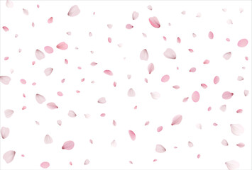 Sakura petals background. Cherry petals backdrop