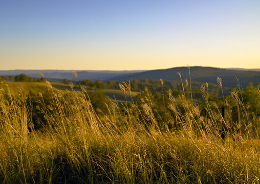 Rural landscape of Killarney rolling hills - late afternoon