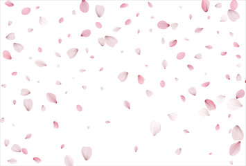 Sakura petals background. Cherry petals backdrop