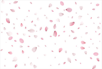Sakura petals background. Cherry petals backdrop