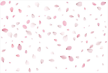 Sakura petals background. Cherry petals backdrop