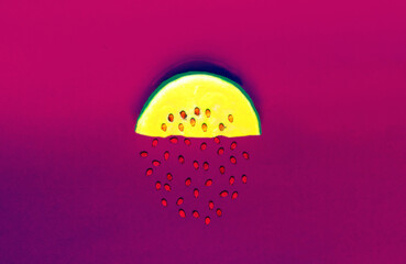 Slice of yellow watermelon with brown seeds on light shade of wildberry background. Summer Color...