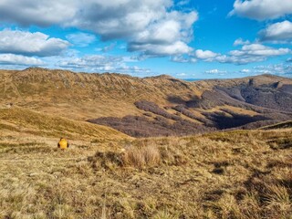 Man sitting on the autumn grass in the Bieszczady mountains © Aleksandra