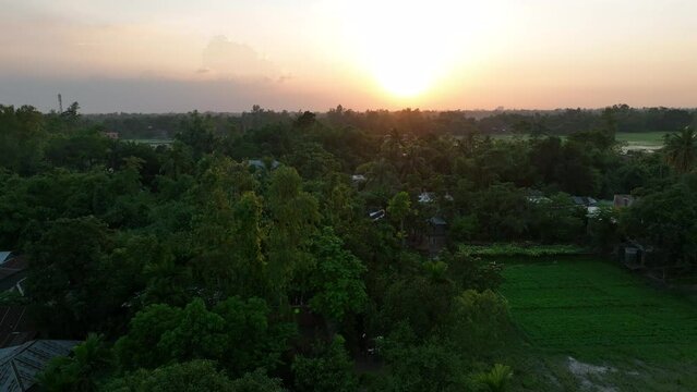 sunrise over the village - aerial smooth video footage -beautiful bangladesh landscape video footage