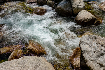 Naklejka na ściany i meble Tatra mountain stream with spring water in the High Tatras