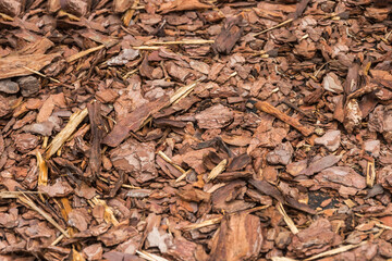 Mulch to cover the ground