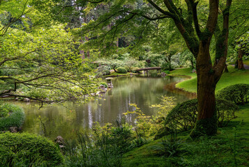 A bridge and reflection pond in the Japanese Nitobe Memorial Botanical Garden, Vancouver, BC, British Columbia, Canada
