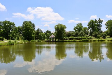Fototapeta na wymiar A beautiful peaceful pond in the countryside. 