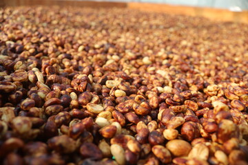 coffee dry