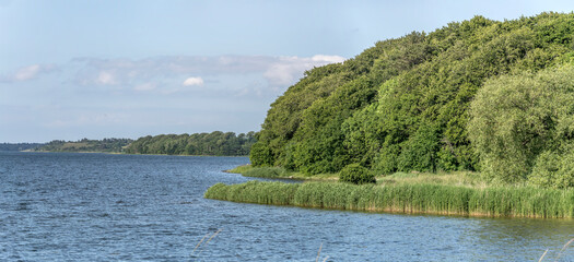 lush vegetation on Isefjord shore near Munkholm, Sjaellands, Denmark