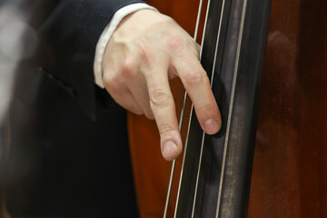 fingers of a double bass player close-up on the background of a double bass