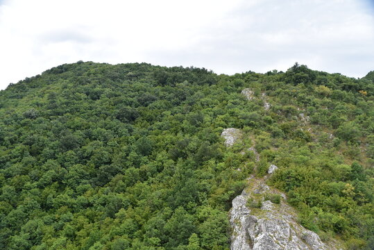 Belgrade Cityscape and Natural Beauty