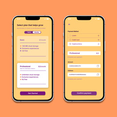 Fototapeta na wymiar a pricing plan page and a checkout flow that accepts credit cards and crypto payments.