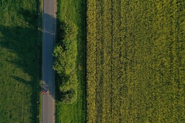 Top down view of people on a bicycle in nature