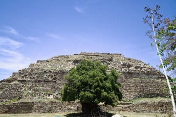 ruins of the ancient roman theatre
