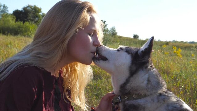 Close up of young girl with blonde hair holding a piece of chocolate in her mouth and siberian husky trying to pull out it at meadow. Love and friendship with domestic animal. Side view Slow motion