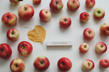 hello autumn card with fresh red apples on white background top view
