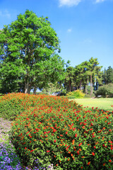Park Ramat Hanadiv, Memorial Gardens of Baron Edmond de Rothschild, Zichron Yaakov, Israel