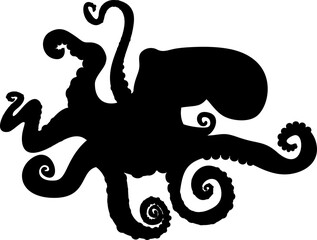 Black silhouette of octopus isolated on white background