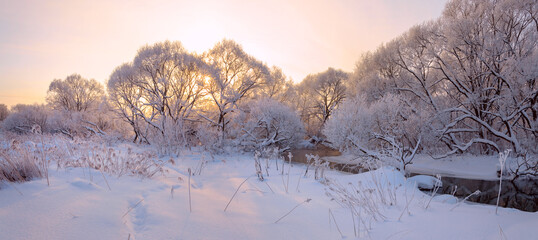 inter scene with snow covered trees and forest river