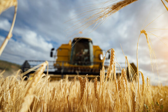 Combine harvester in agricultural field