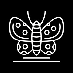 Butterfly Icon