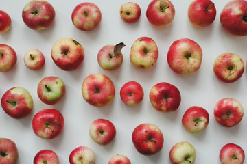 hello autumn card with fresh red apples on white background top view