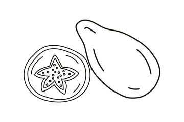Outline vector illustration of a whole papaya and a papaya cut in half. Hand drawn badge and symbol for printing on baby clothes, sticker, textile design, design for grocery store, menu, for kitchen