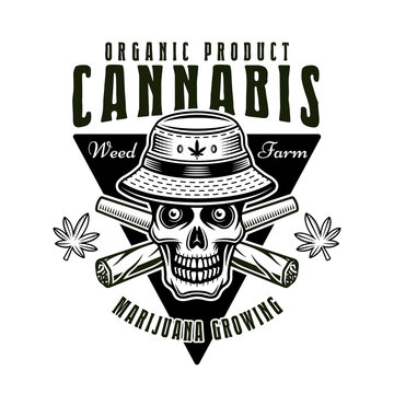Marijuana growing farm vector emblem, badge, label or logo with skull in bucket hat and two crossed weed joints. Illustration in vintage monochrome style isolated on white background
