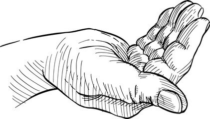 Close up of hand asking or receiving. Hand language. Black and white vector illustration on white background.