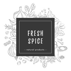 Spices and herbs banner. Vector illustration of hand drawn kitchen herbs with vanilla, anise, ginger, cinnamon, curry, basil, garlic, pepper, rosemary. Popular indian spices in doodle style for menu