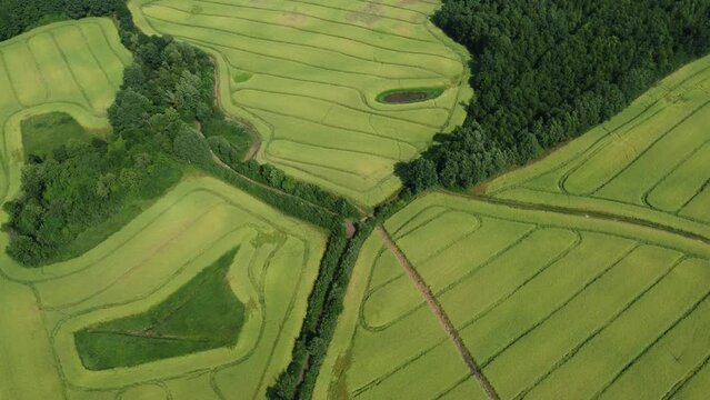 rotating aerial view of green field with twisted lines and curved shapes