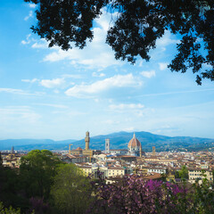 Naklejka premium Beautiful postcard of the city of Florence in a frame of vegetation