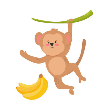 Cheerful monkey hanging on branch and banana. Vector image