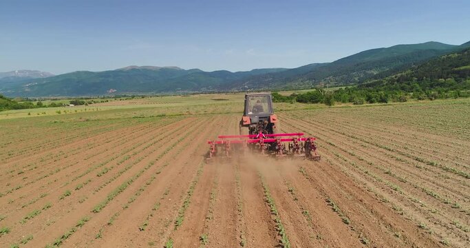 Tractor cultivating the ground in a agricultural field. Farmer preparing land for sowing.