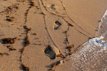 Footprints in the sand on the city beach.