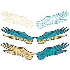 Ukrainian wings, digital on transparent background