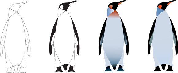 Set 4 vector northern snowy arctic winter bird penguins different styles simple outline flat gradient realistic outlines black and white adobe illustrator scalable graphics