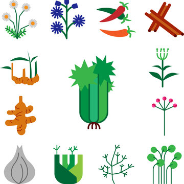 Herb, calery icon in a collection with other items