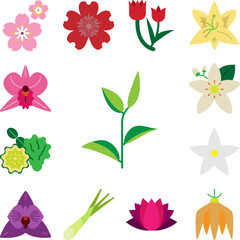 Herb, green tea icon in a collection with other items