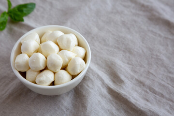 Homemade organic mozzarella cheese in a bowl, side view. Space for text.