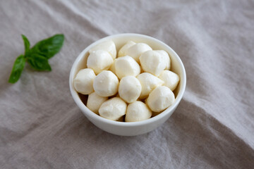Homemade organic mozzarella cheese in a bowl, side view.