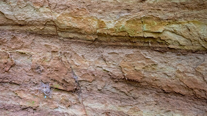 Grey and brown genuine sandstone background, real beach rock pattern. A wonderful rock structure created by Latvian nature in the Gauja National Park.
