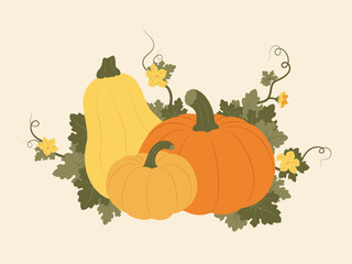 Nice pumpkins with leaves and flowers. Autumn holiday composition for harvest festival or Thanksgiving. Vector hand drawn illustration. Can be used for greeting cards, postcards, posters, invitations 