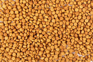 Background (texture) of dry food for cats or dogs. Balanced nutrition of pets.. Template for the design. Space for text.