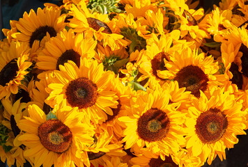 Bunches of bright yellow sunflowers at an outdoor market © lindahughes
