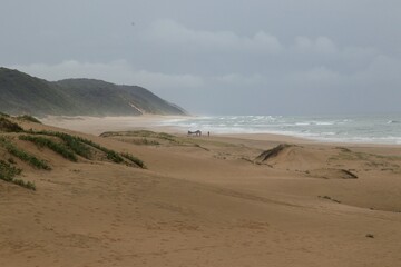 Fototapeta na wymiar sandy wild Cape Vidal beach with cloudy and misty weather