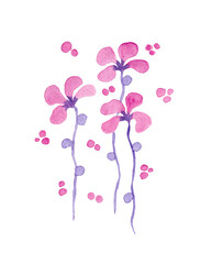 Pink with purple flowers watercolor painting - hand drawn blossom isolated on white background