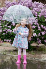 A sweet girl of five years with a transparent umbrella against the background of blooming lilacs...